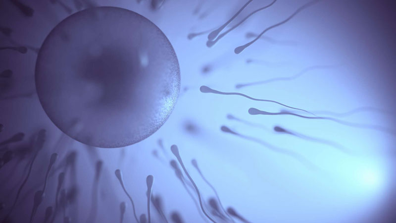 Embriyolarda Genetik Tan